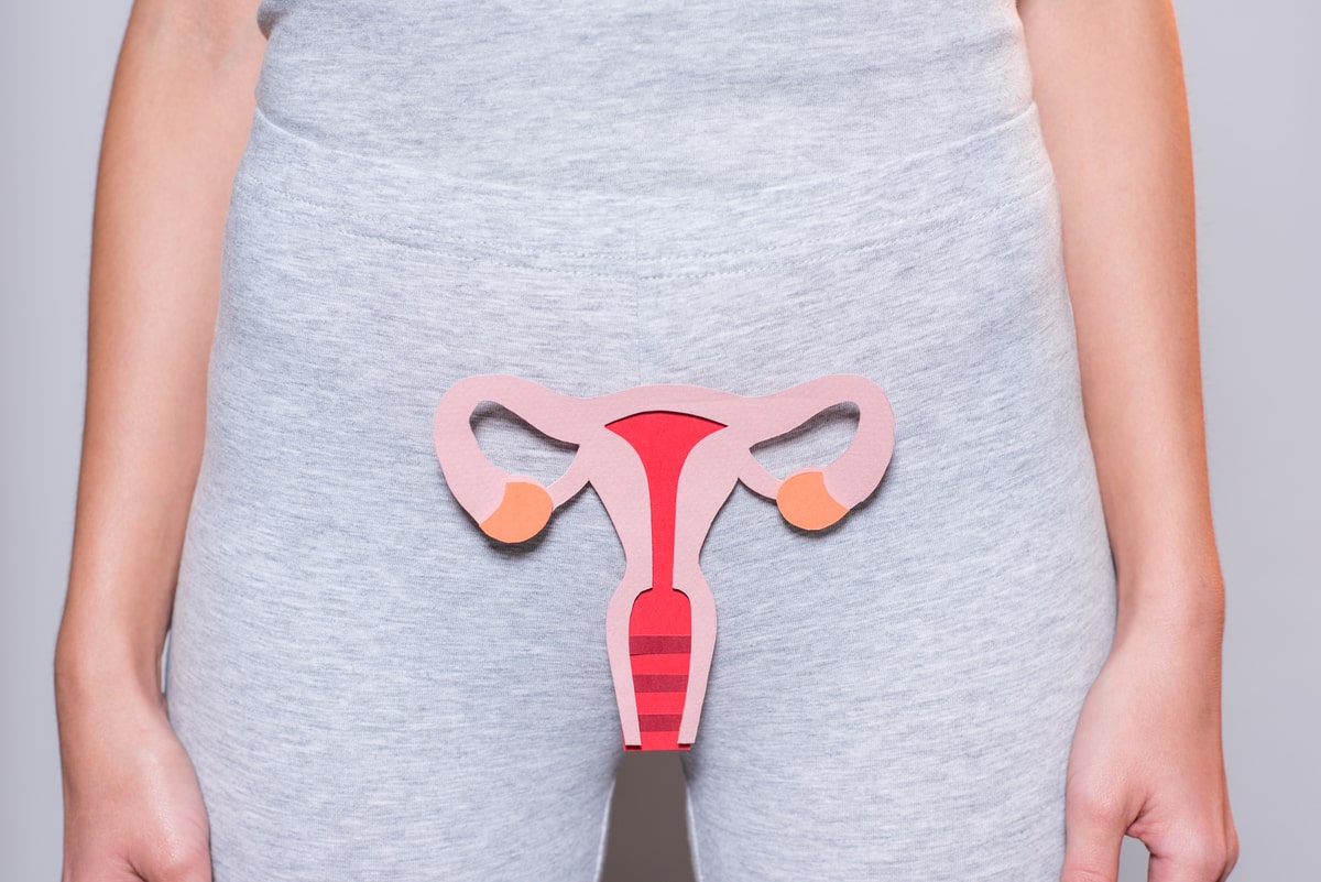 Delimičan pogled na ženu sa napravljenim papirnim ženskim reproduktivnim sistemom.
